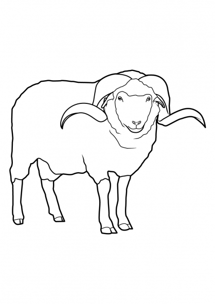 Un mouton paisible dans un champ verdoyant