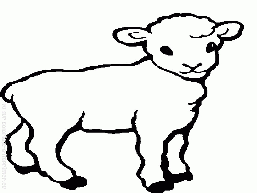 Un mouton joyeux dans un champ verdoyant
