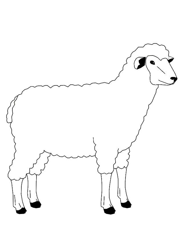 Coloriage d'un mouton dans un champ verdoyant