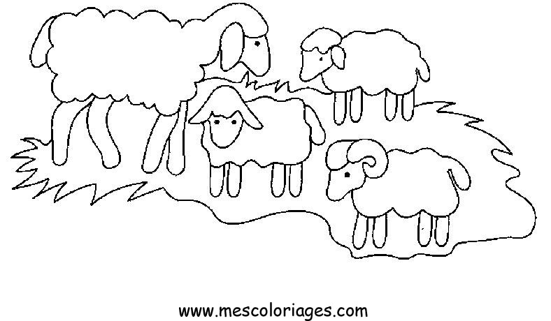 Un mouton joyeux se reposant dans un champ verdoyant