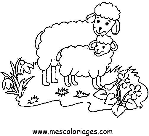 Un mouton paisible dans un champ verdoyant