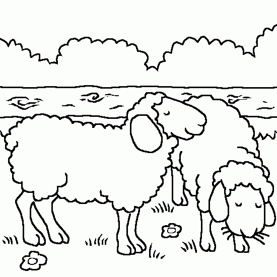 Un mouton paisible dans un champ luxuriant
