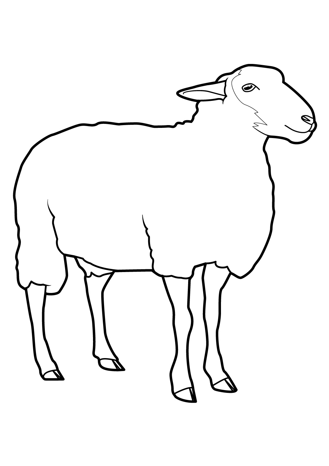 Un mouton paisible dans un champ verdoyant