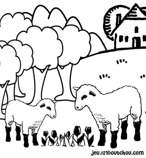 Un mouton paisible dans un champ verdoyant