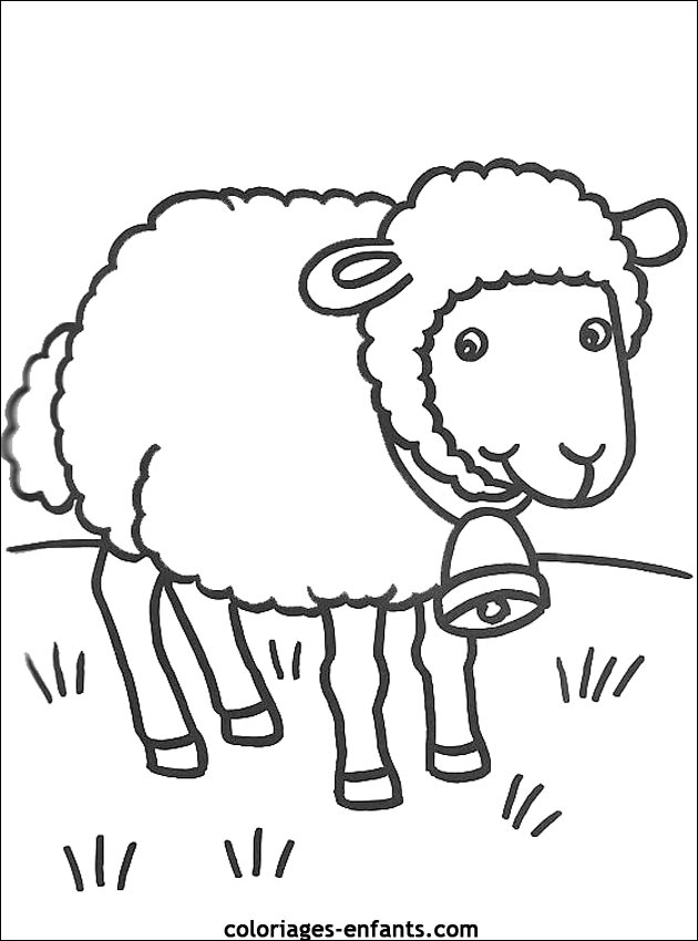 Un mouton paisible se reposant dans un champ verdoyant