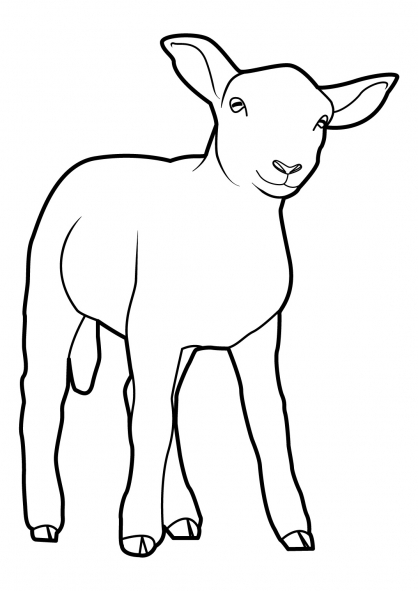 Coloriage d'un mouton joyeux dans un champ verdoyant