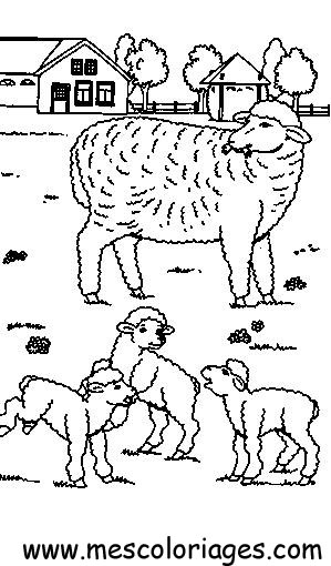 Un mouton paisible dans un champ verdoyant