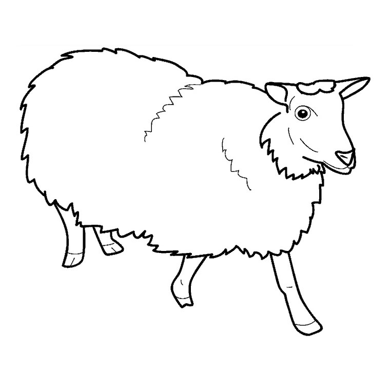 Un mouton joyeux broutant dans un champ verdoyant