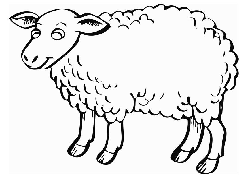 Un mouton paisible dans un champ verdoyant