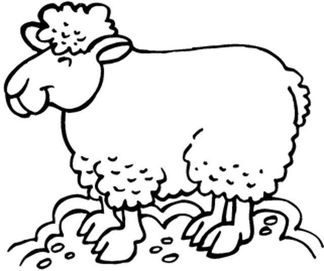 Un mouton heureux se reposant dans un pré verdoyant