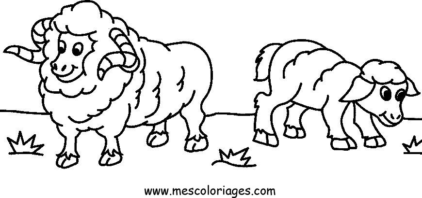 Un mouton paisible dans un champ verdoyant