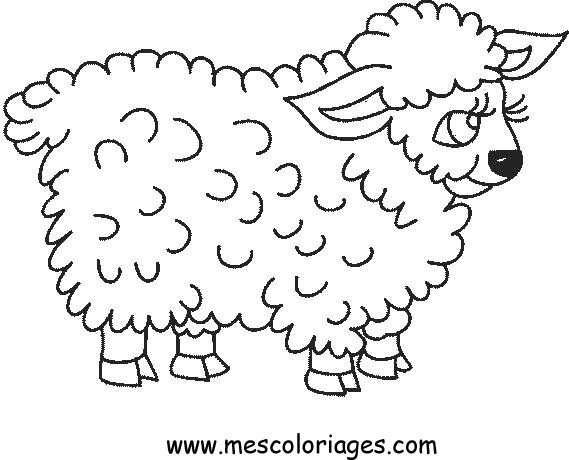 Un mouton paisible dans un champ verdoyant