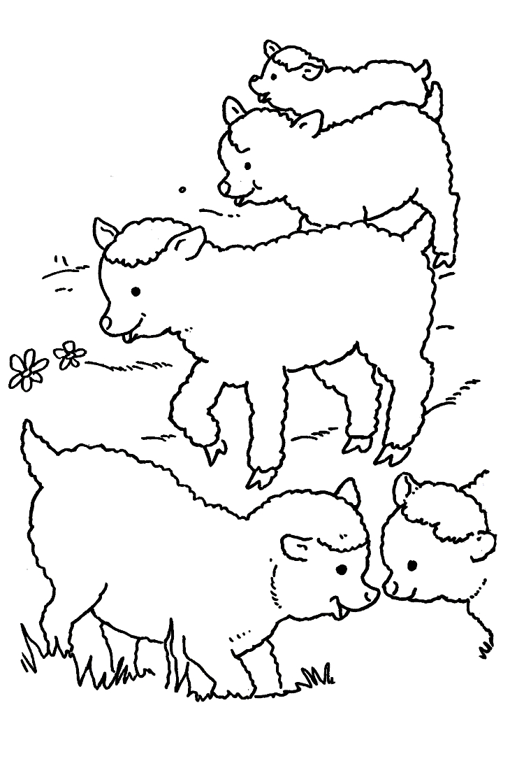 Un mouton joyeux se reposant dans un champ verdoyant