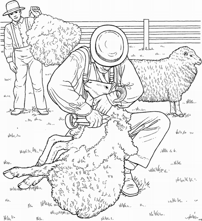 Un mouton paisible dans un champ verdoyant