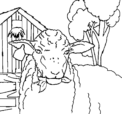 Un mouton paisible dans un champ verdoyant