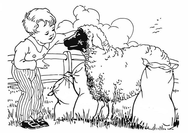 Un mouton paisible dans un champ verdoyant