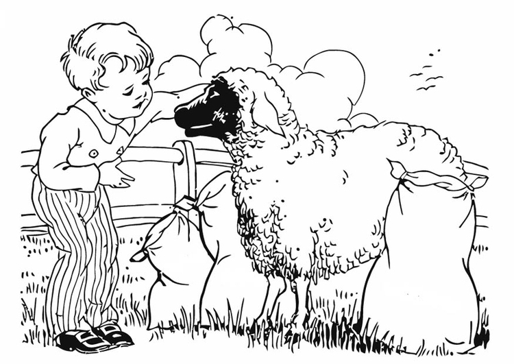 Un mouton paisible dans un champ verdoyant