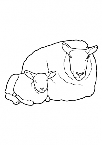 Un mouton paisible broutant dans un champ verdoyant