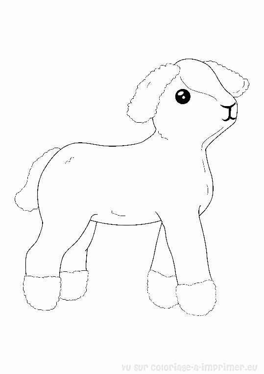 Coloriage d'un mouton paisible dans un champ verdoyant
