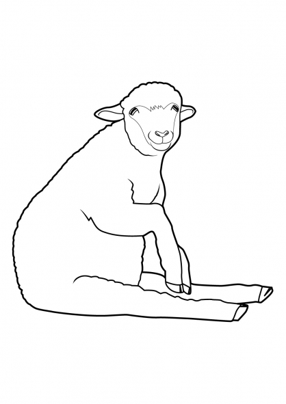 Un mouton en plein pâturage sous un ciel serein