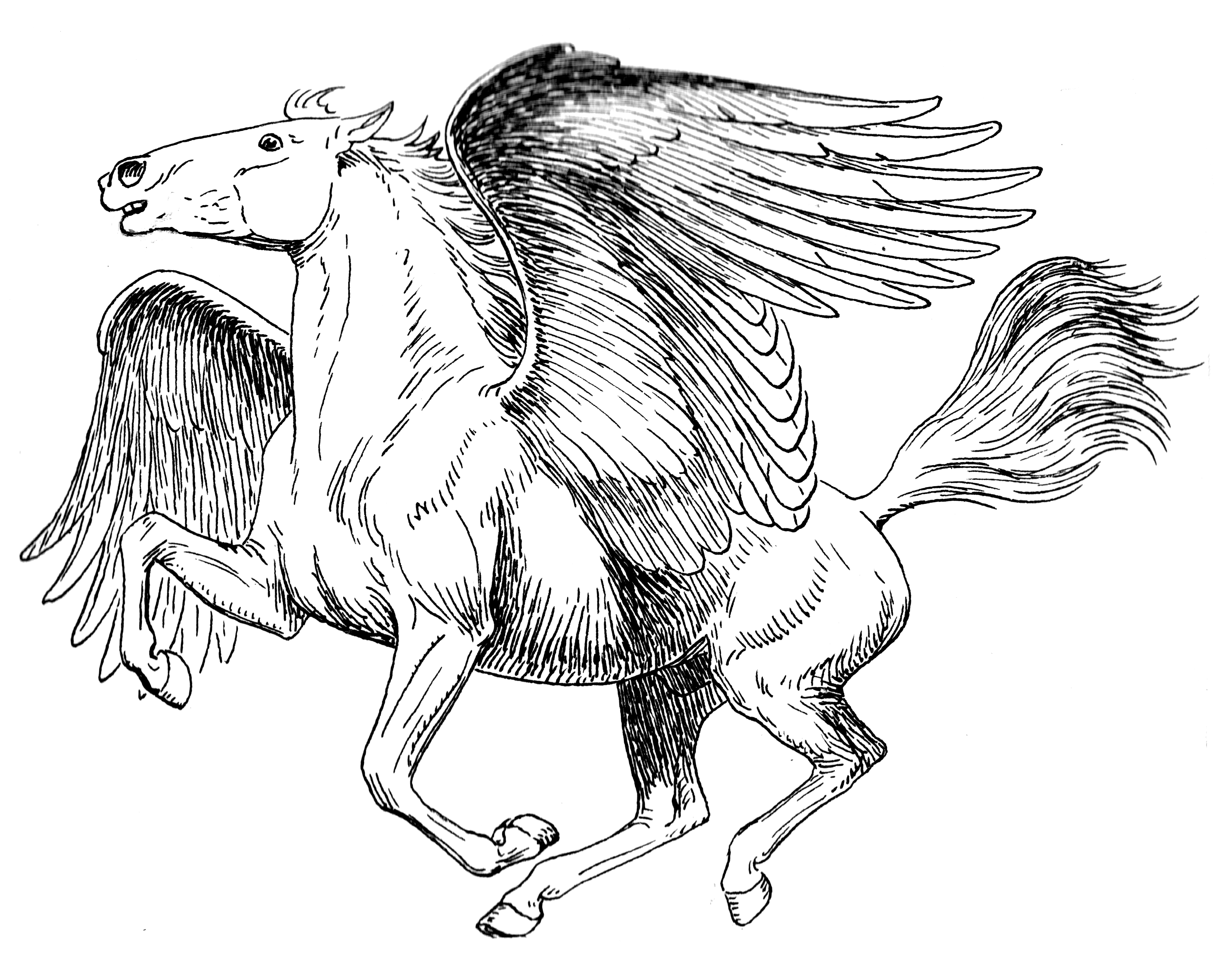 Coloriage représentant une scène de mythologie grecque avec des personnages mythiques Coloriage représentant une scène de mythologie grecque avec des personnages mythiques