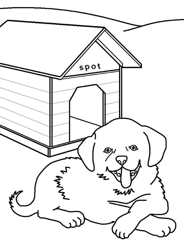 Coloriage d'une niche à chien avec un chien à l'intérieur