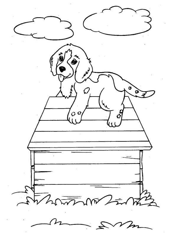 Coloriage Niche à chien #11894 à imprimer