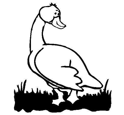 Coloriage d'une oie paisible au bord d'un étang