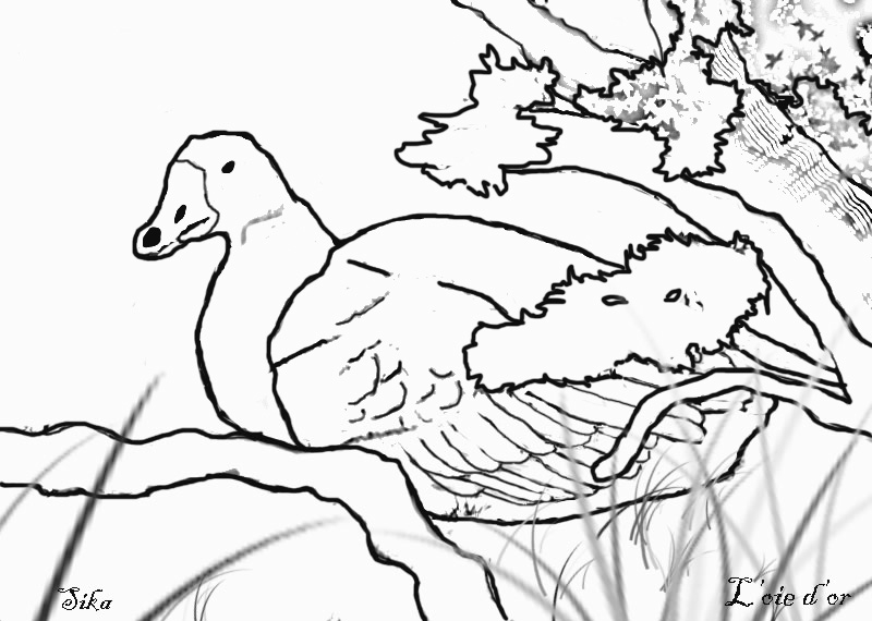 Oie nageant paisiblement sur l'eau entourée de végétation
