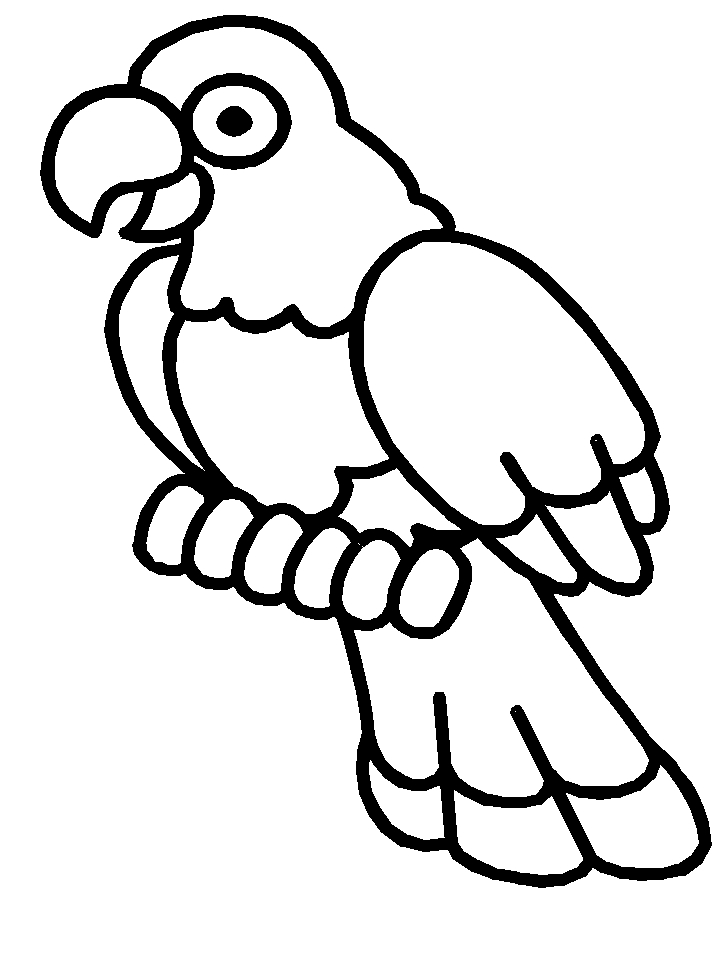 Oiseaux perchés sur une branche avec un fond naturel Oiseaux perchés sur une branche avec un fond naturel