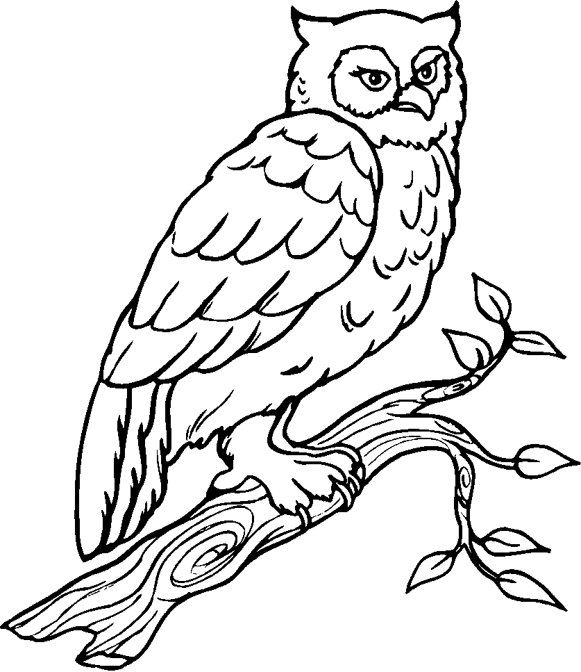 Coloriage d'oiseaux perchés sur des branches fleuries