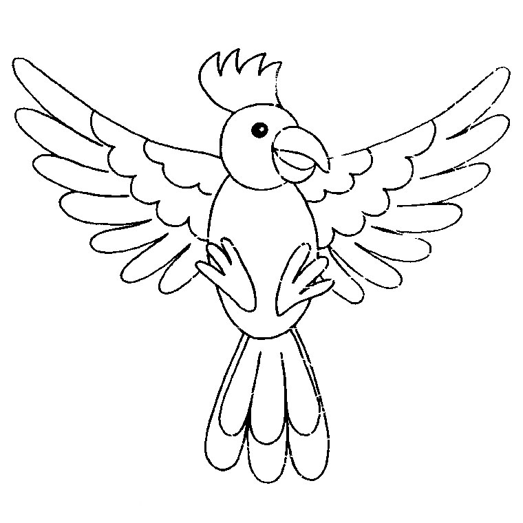 Coloriage d'oiseaux perchés sur des branches d'arbres