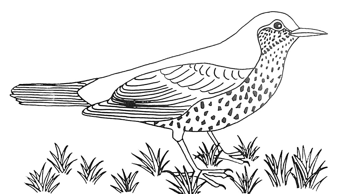 Oiseaux perchés sur une branche avec des feuilles