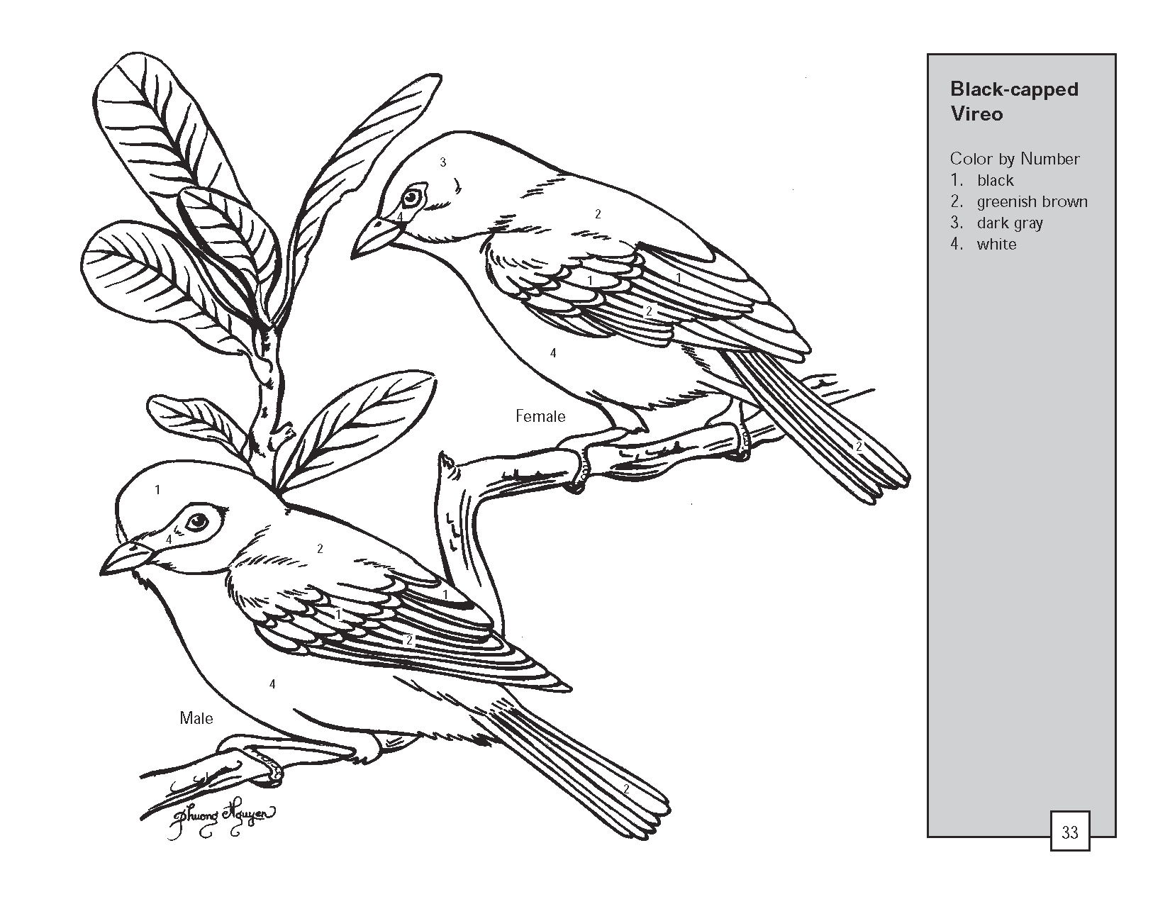 Oiseaux posés sur une branche avec des feuillages luxuriants