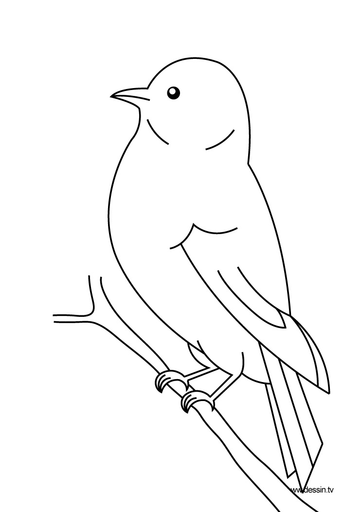 Coloriage d'oiseaux perchés sur une branche fleurie