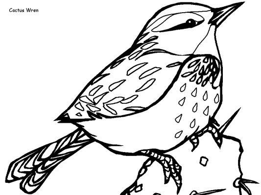 Oiseaux perchés sur une branche avec des feuillages