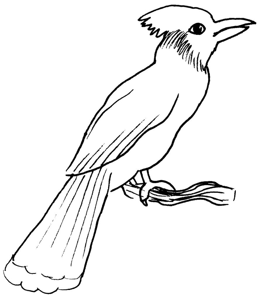 Coloriage d'oiseaux perchés sur une branche avec des fleurs