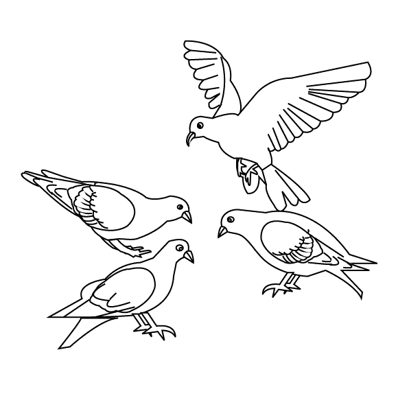 Oiseaux perchés sur une branche dans un décor naturel