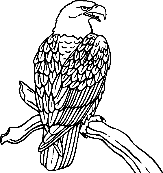 Deux oiseaux perchés sur une branche en fleurs