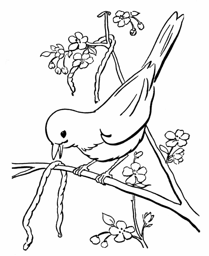 Coloriage d'oiseaux perchés sur une branche avec des feuilles