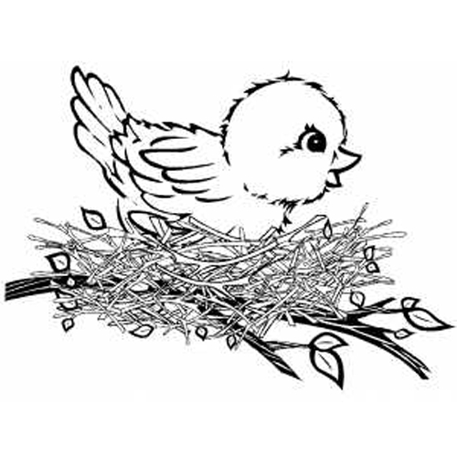 Coloriage d'oiseaux perchés sur une branche avec des feuilles