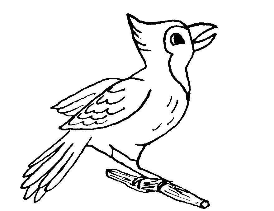 Coloriage d'oiseaux perchés sur des branches avec un fond naturel Coloriage d'oiseaux perchés sur des branches avec un fond naturel