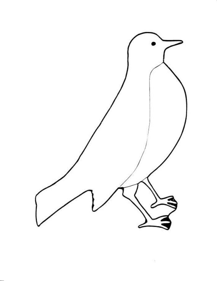 Coloriage d'oiseaux perchés sur des branches entourées de feuillage