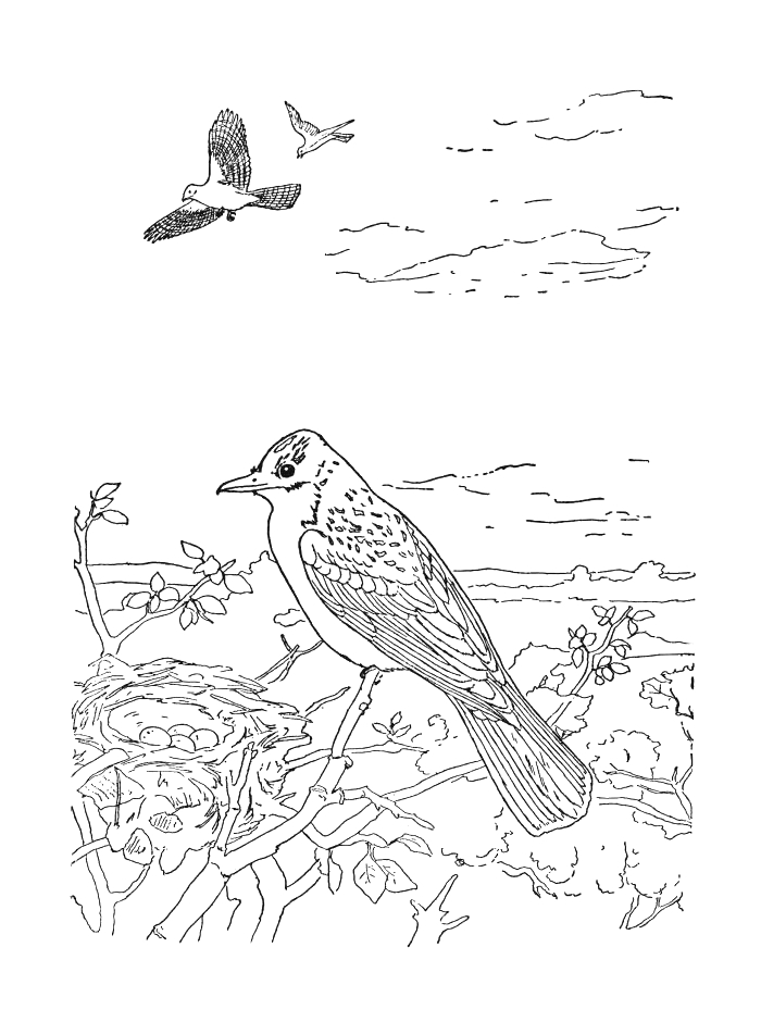 Oiseaux perchés sur des branches entourés de feuillage