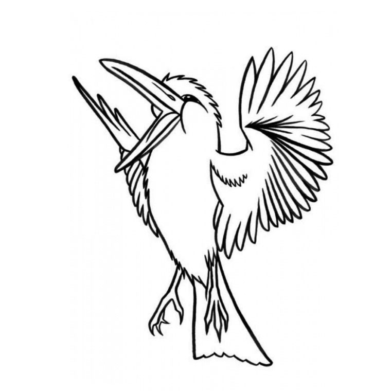 Oiseaux perchés sur une branche entourée de feuillage