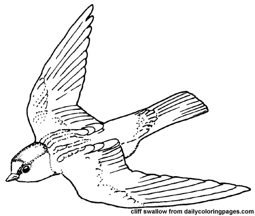 Oiseaux en pleine nature sur un coloriage à compléter