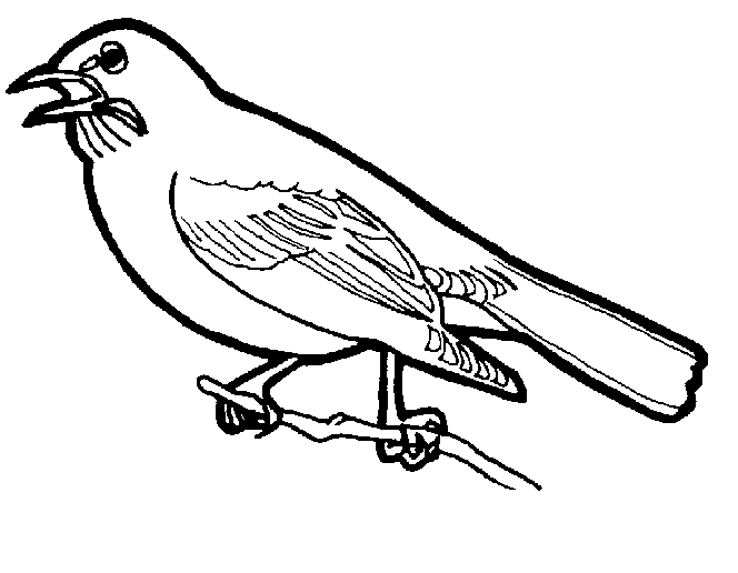 Coloriage d'oiseaux perchés sur des branches fleuries