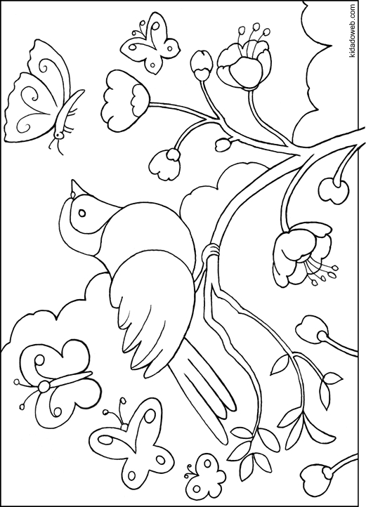 Coloriage d'oiseaux perchés sur une branche avec des feuilles