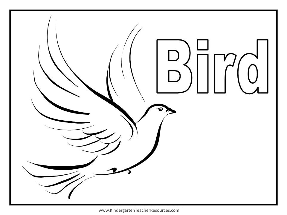 Coloriage d'oiseaux perchés sur une branche au milieu de feuillages