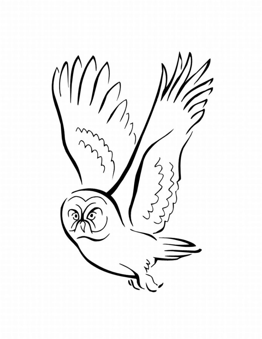 Oiseaux en pleine nature au milieu de feuillages